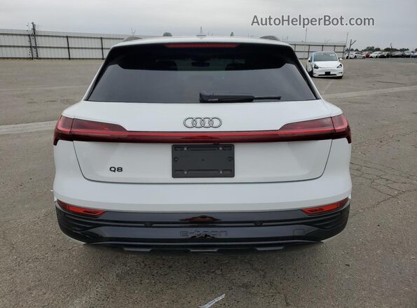 WA15AAGE2RB041770 2024 AUDI Q8 White უკანა ხედი
