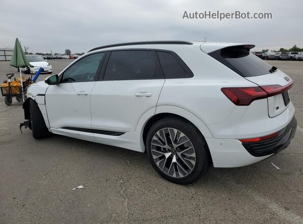 WA15AAGE2RB041770 2024 AUDI Q8 White უკანა მარცხენა