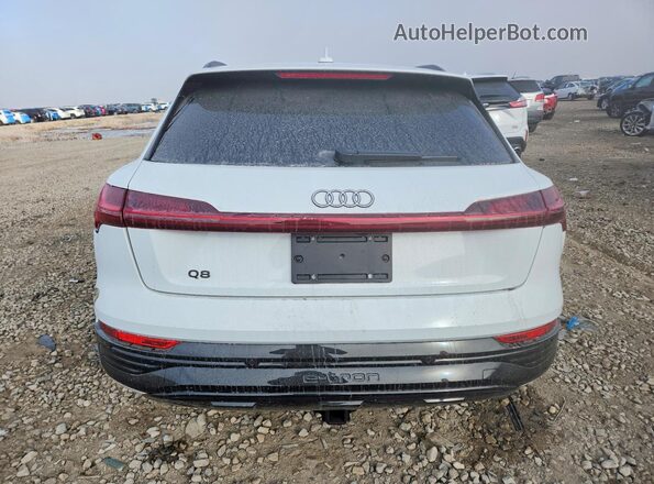 WA15AAGE3RB016098 2024 AUDI Q8 Белый 