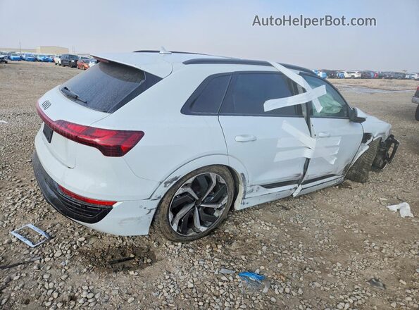 WA15AAGE3RB016098 2024 AUDI Q8 Белый 