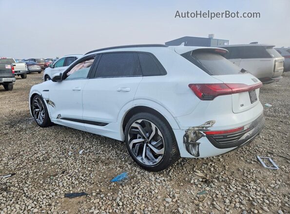 WA15AAGE3RB016098 2024 AUDI Q8 Белый 