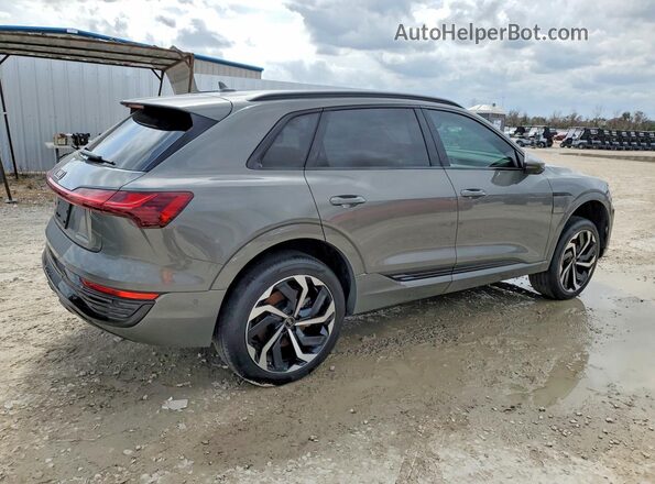 WA16ABGE3RB052755 2024 AUDI Q8 Green Задня права чверть