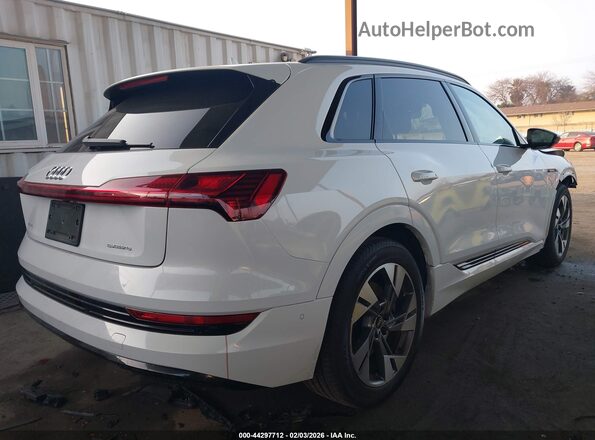 WA1AAAGE2MB007500 2021 AUDI E-TRON White Tył prawy