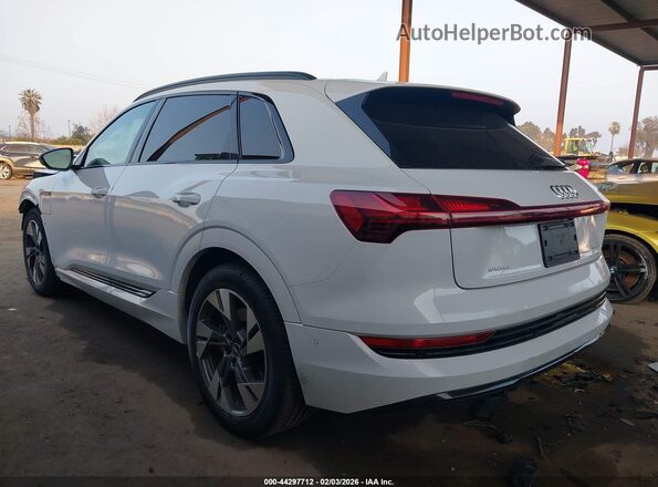 WA1AAAGE2MB007500 2021 AUDI E-TRON White Tył lewy