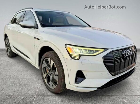 WA1AAAGE8MB010286 2021 AUDI E-TRON Белый Задняя левая четверть