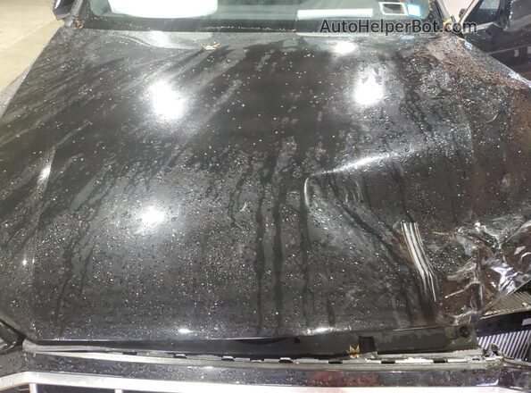 WA1AXBF71PD024093 2023 AUDI Q7 Black 