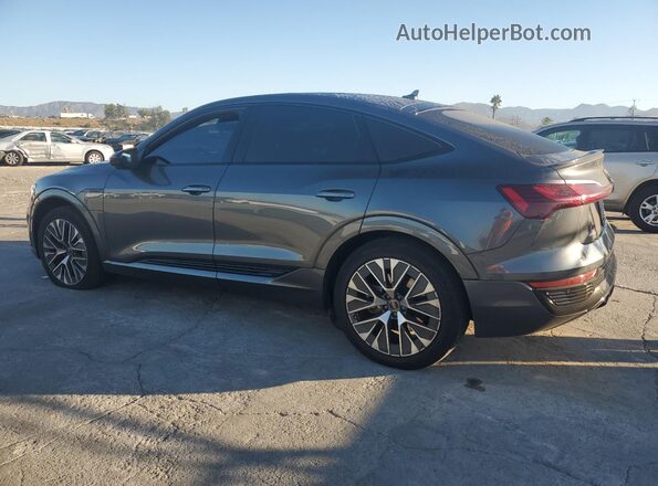 WA1CAAGE3RB013872 2024 AUDI Q8 Gray 