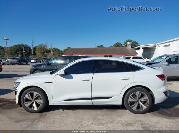 WA1CAAGE3RB017078 2024 AUDI Q8 E-TRON Белый Панорамный вид салона 360°