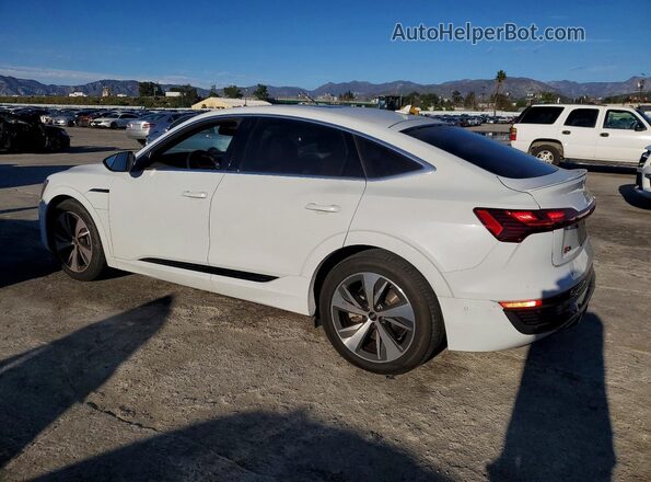 WA1CAAGE3RB028307 2024 AUDI Q8 White Rear left