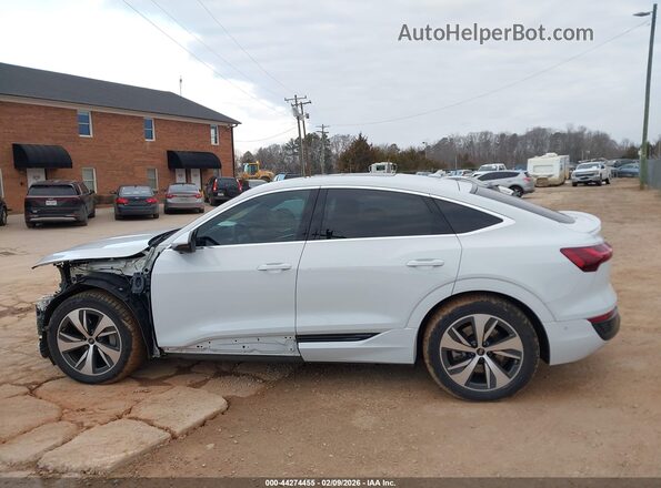WA1CAAGE9RB036203 2024 AUDI Q8 E-TRON White Панорамний вид салону 360°