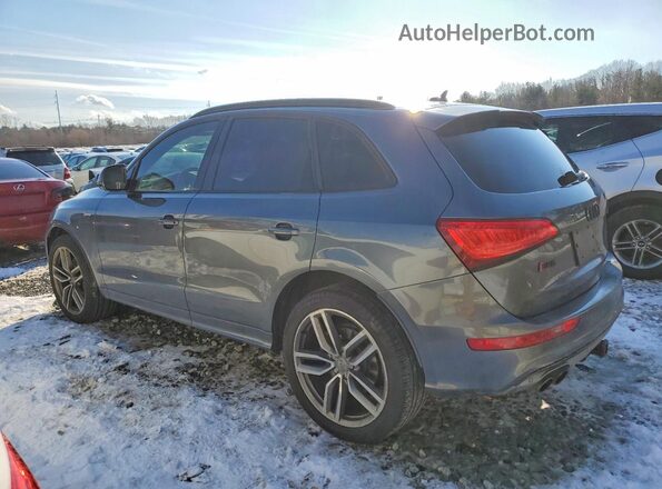 WA1CCAFP9GA012581 2016 AUDI SQ5 Gray Հետևի ձախ