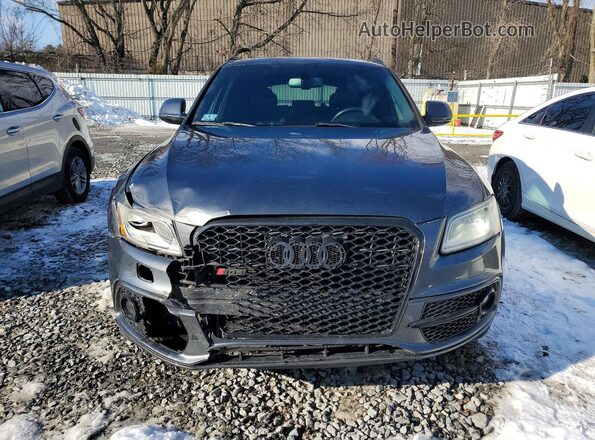 WA1CCAFP9GA012581 2016 AUDI SQ5 Gray Դիմացի տեսք