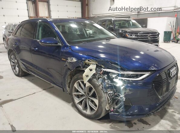 WA1LAAGE2MB037816 2021 AUDI E-TRON Синий 