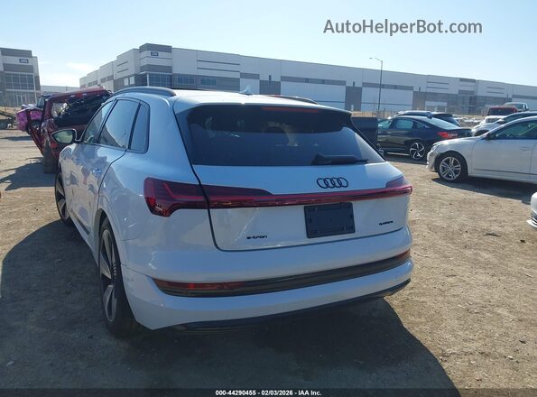 WA1LAAGE3NB011114 2022 AUDI E-TRON White Tył lewy