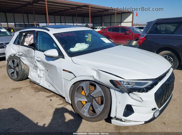WA1LAAGE3NB011114 2022 AUDI E-TRON White Widok z przodu