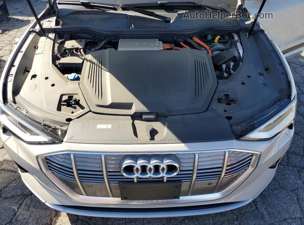 WA1LABGE8MB011601 2021 AUDI E-TRON Gray Vista del compartimento del motor