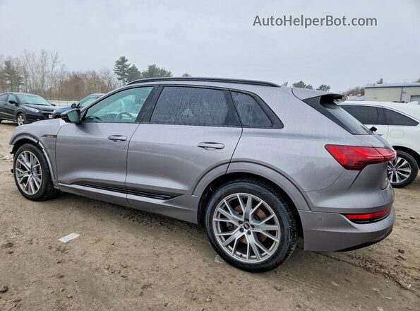 WA1VAAGE7MB020678 2021 AUDI E-TRON Серый Задняя левая четверть