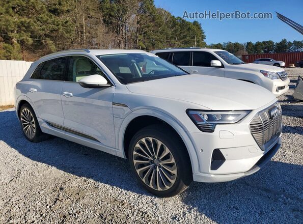 WA1VAAGE9KB022851 2019 AUDI E-TRON White 