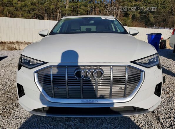 WA1VAAGE9KB022851 2019 AUDI E-TRON White 