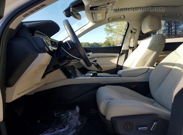 WA1VAAGE9KB022851 2019 AUDI E-TRON White 