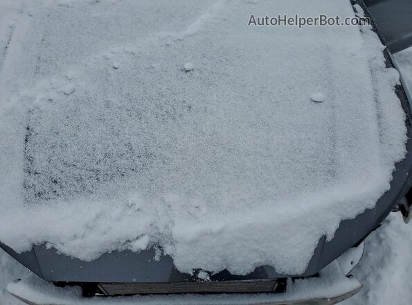 WAUENAF4XKA073393 2019 AUDI OTHER Gray 