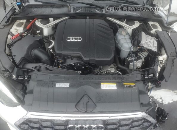 WAUFACF54RA097929 2024 AUDI OTHER White 