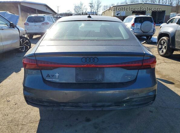 WAUV2BF24SN017603 2025 AUDI OTHER Gray Հետևի տեսք
