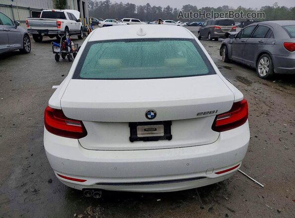 WBA1F9C50GV545981 2016 BMW 2 SERIES White Вид ззаду