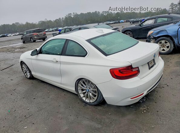 WBA1F9C50GV545981 2016 BMW 2 SERIES White Задня ліва чверть