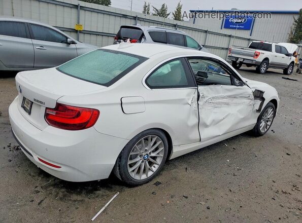 WBA1F9C50GV545981 2016 BMW 2 SERIES White Задня права чверть