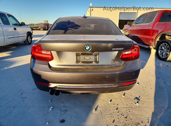 WBA1F9C57GV544164 2016 BMW 2 SERIES Серый Вид сзади