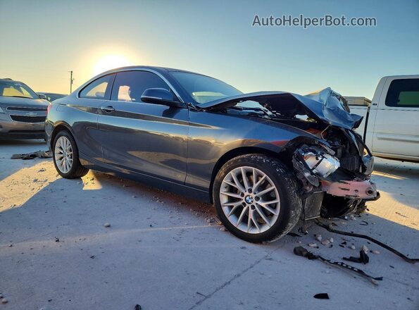 WBA1F9C57GV544164 2016 BMW 2 SERIES Серый Передняя правая четверть