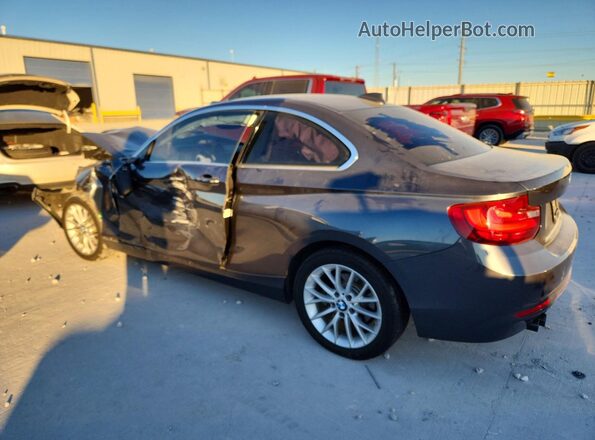 WBA1F9C57GV544164 2016 BMW 2 SERIES Серый Задняя левая четверть