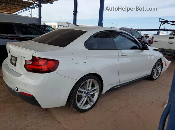 WBA1F9C59GV546658 2016 BMW 2 SERIES White უკანა მარჯვენა