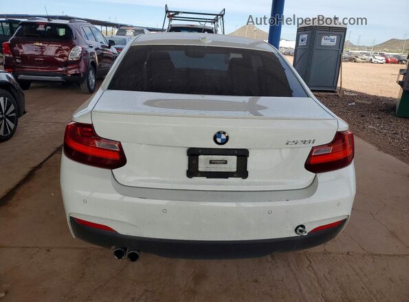 WBA1F9C59GV546658 2016 BMW 2 SERIES White უკანა ხედი