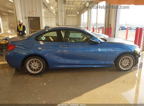 WBA1F9C5XGV545597 2016 BMW 2 SERIES Синий Панорамный вид салона 360°