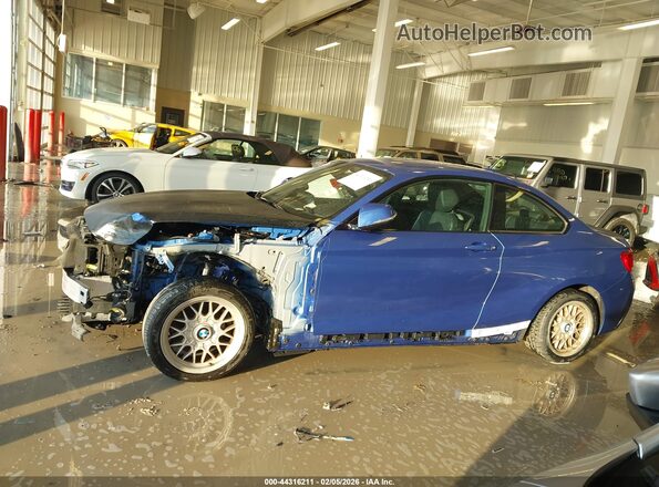 WBA1F9C5XGV545597 2016 BMW 2 SERIES Синий 