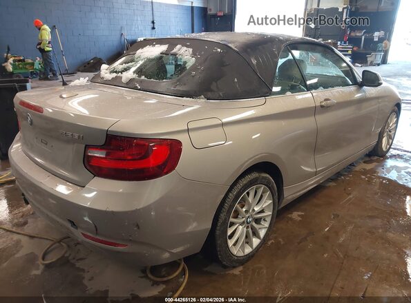 WBA1L9C55GV325311 2016 BMW 2 SERIES Beige Հետևի աջ