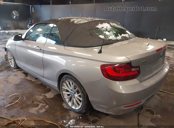 WBA1L9C55GV325311 2016 BMW 2 SERIES Beige Հետևի ձախ