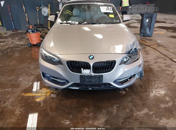 WBA1L9C55GV325311 2016 BMW 2 SERIES Beige Սարքավորումների վահանակի տեսք