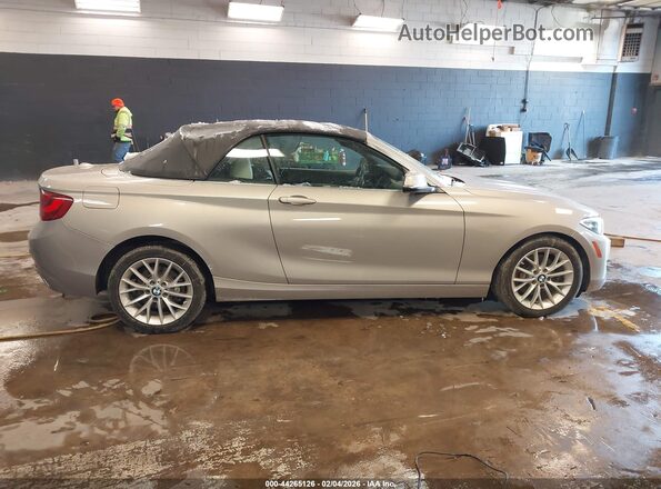 WBA1L9C55GV325311 2016 BMW 2 SERIES Beige Սալոնի հետևի տեսք