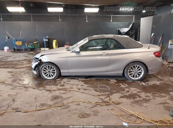 WBA1L9C55GV325311 2016 BMW 2 SERIES Beige Սալոնի 360 աստիճան տեսք