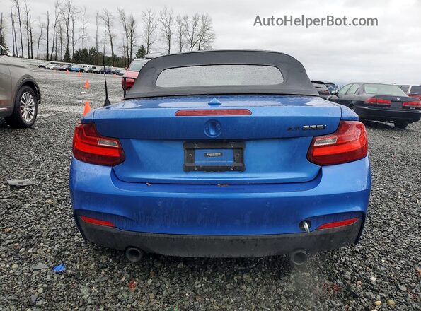 WBA1M1C53GV394559 2016 BMW M2 Blue Vista trasera