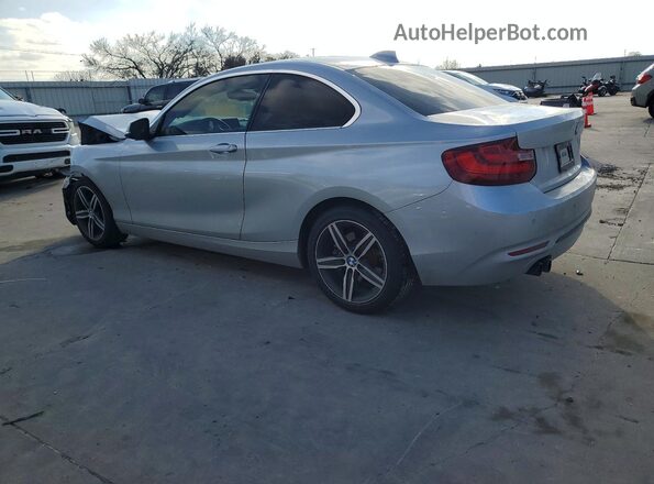 WBA2F9C33H7A40271 2017 BMW 2 SERIES Silver Задня ліва чверть