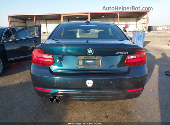 WBA2F9C54HV664171 2017 BMW 2 SERIES Blue 