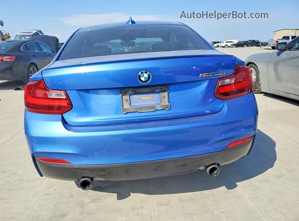 WBA2G1C32HV665476 2017 BMW M2 Blue Widok z tyłu