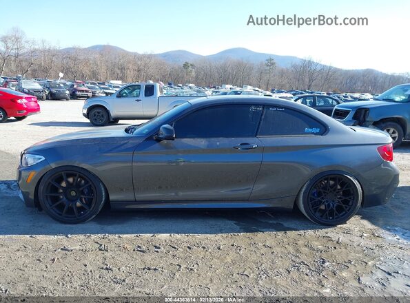 WBA2G3C36H7A25421 2017 BMW M2 Gray 