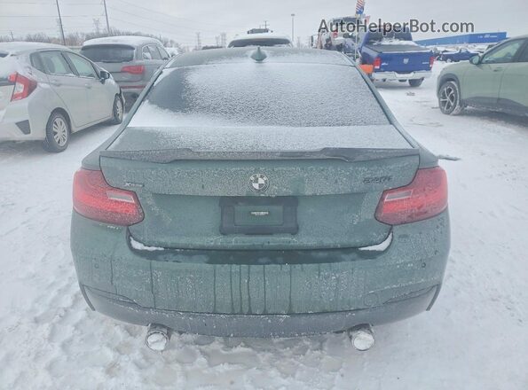 WBA2G3C56HV640707 2017 BMW M2 Green 