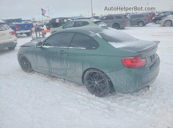 WBA2G3C56HV640707 2017 BMW M2 Green 