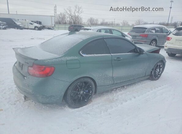 WBA2G3C56HV640707 2017 BMW M2 Green 